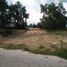  Land for sale in Tecali De Herrera, Puebla, Tecali De Herrera