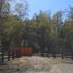  Terreno (Parcela) en venta en Chile, Villarrica, Cautín, Araucanía, Chile