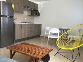在El Marques, Queretaro出租的2 卧室 住宅, El Marques