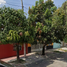 Maison 4 chambre à vendre à Guadalajara, Jalisco, Guadalajara