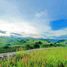  Terreno (Parcela) en venta en Consolacion, Central Visayas, Consolacion