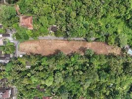  Terrain for sale in Ubud, Gianyar, Ubud