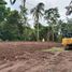  Terrain for sale in Ubud, Gianyar, Ubud