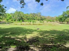  Land for sale in Siquijor, Central Visayas, Larena, Siquijor