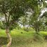  Terreno (Parcela) en venta en Calamba City, Calabarzon, Calamba City, Laguna, Calabarzon, Filipinas