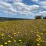  Land for sale in Chile, Santo Domingo, San Antonio, Valparaiso, Chile