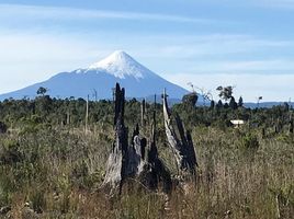  Land for sale in Chile, Puerto Montt, Llanquihue, Los Lagos, Chile
