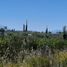  Land for sale in Chile, Puerto Montt, Llanquihue, Los Lagos, Chile