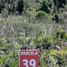  Land for sale in Chile, Puerto Montt, Llanquihue, Los Lagos, Chile