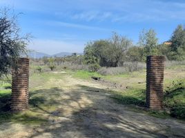  Land for sale in Melipilla, Santiago, Curacavi, Melipilla
