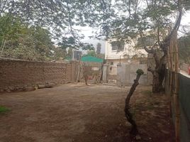  Terreno (Parcela) en venta en Lurigancho, Lima, Lurigancho