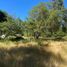  Land for sale in Cautin, Araucania, Villarrica, Cautin