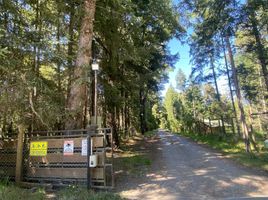  Land for sale in Cautin, Araucania, Villarrica, Cautin
