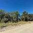  Land for sale in Cautin, Araucania, Villarrica, Cautin