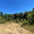  Land for sale in Cautin, Araucania, Villarrica, Cautin