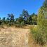  Land for sale in Cautin, Araucania, Villarrica, Cautin