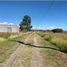  Land for sale in Silao, Guanajuato, Silao