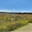 Land for sale in Silao, Guanajuato, Silao