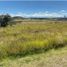  Land for sale in Silao, Guanajuato, Silao