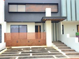 미코 아칸PropertyTypeNameBedroom, 모렐리 아, 미코 아칸