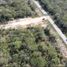  Land for sale in Kinchil, Yucatan, Kinchil