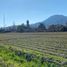  Terreno (Parcela) en venta en Chile, Melipilla, Melipilla, Santiago, Chile