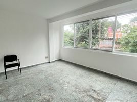 50 m² Office for rent in Cuauhnáhuac Regional Museum, Cuernavaca, Cuernavaca