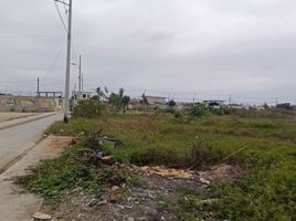  Terrain for sale in El Oro, Machala, Machala, El Oro