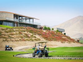  Terreno (Parcela) en venta en Asia, Lima, Asia