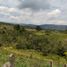  Terrain for sale in Valle Del Cauca, Dagua, Valle Del Cauca