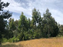  Terreno (Parcela) en venta en Chile, Mariquina, Valdivia, Los Ríos, Chile