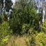  Terreno (Parcela) en venta en Chile, Mariquina, Valdivia, Los Ríos, Chile