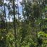  Terreno (Parcela) en venta en Chile, Mariquina, Valdivia, Los Ríos, Chile