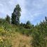  Terreno (Parcela) en venta en Chile, Mariquina, Valdivia, Los Ríos, Chile