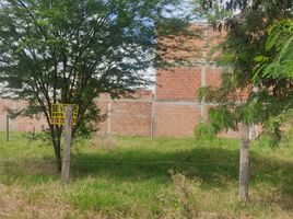  Terreno (Parcela) en venta en Palmira, Valle Del Cauca, Palmira