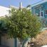 3 Schlafzimmer Haus zu verkaufen in Tijuana, Baja California, Tijuana