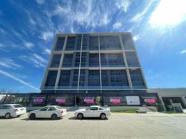 2 Schlafzimmer Wohnung zu vermieten in Zapopan, Jalisco, Zapopan, Jalisco