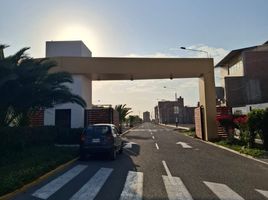  Terreno (Parcela) en venta en Pimentel, Chiclayo, Pimentel