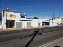 500 平米 Office for rent in Sonora, Hermosillo, Sonora