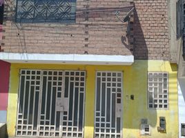 5 Habitación Casa en venta en San Juan de Lurigancho, Lima, San Juan de Lurigancho, Lima, Lima, Perú