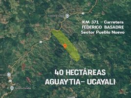  Terreno (Parcela) en venta en Ucayali, Padre Abad, Padre Abad, Ucayali