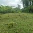  Land for sale in Pedro Vicente Maldonado, Pichincha, Pedro Vicente Maldonado, Pedro Vicente Maldonado