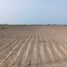  Land for sale in Chancay, Lima, Chancay