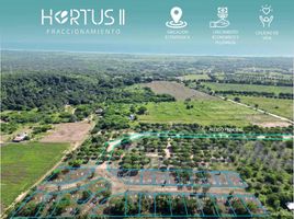  Grundstück zu verkaufen in Dist Pochutla, Oaxaca, Dist Pochutla