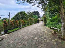  Land for sale in Cijeruk, Bogor, Cijeruk