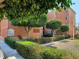 3 Schlafzimmer Appartement zu vermieten in Queretaro, Queretaro, Queretaro, Queretaro