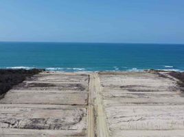  Terreno (Parcela) en venta en Montecristi, Manabi, Montecristi, Montecristi