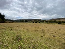  Villa zu verkaufen in Toca, Boyaca, Toca