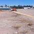  Terreno (Parcela) en alquiler en San Luis Potosi, San Luis Potosí, San Luis Potosi, San Luis Potosí