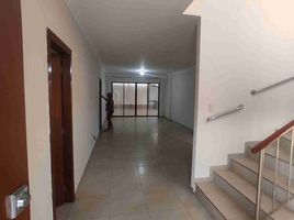 3 Bedroom House for sale in Samborondon, Guayas, Samborondon, Samborondon